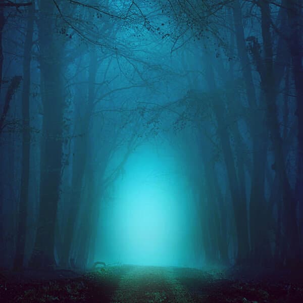 Ambient Hood
