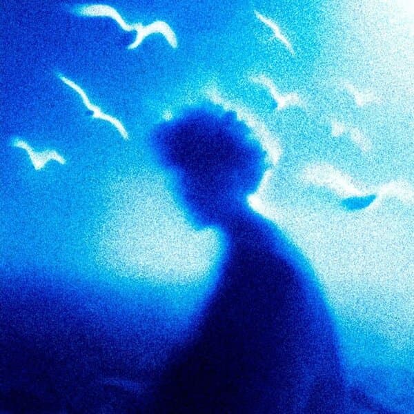 Nocturnex