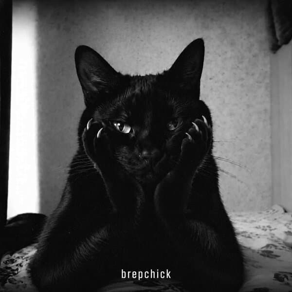 brepchick