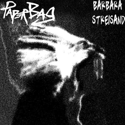 Pap3rBag
