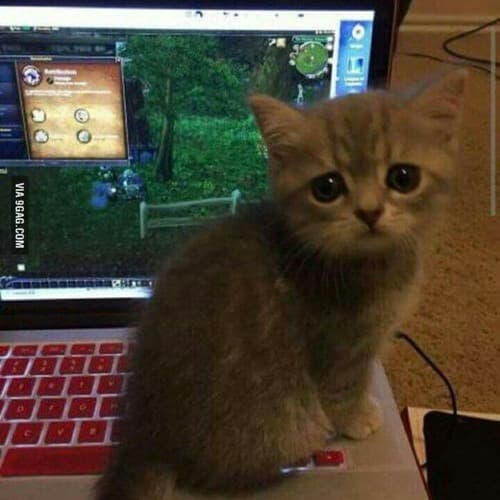 141