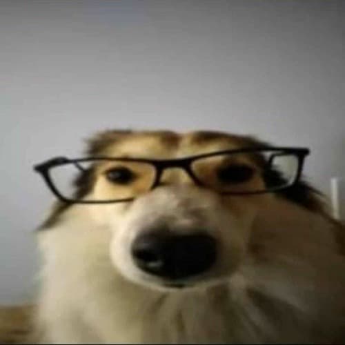 everlov3d