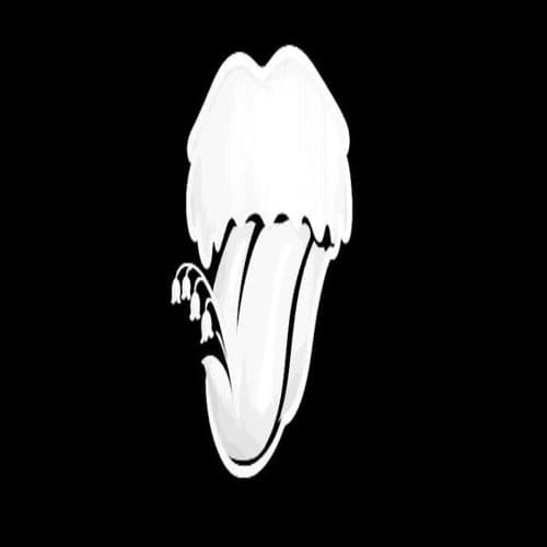 plasticsuzuran