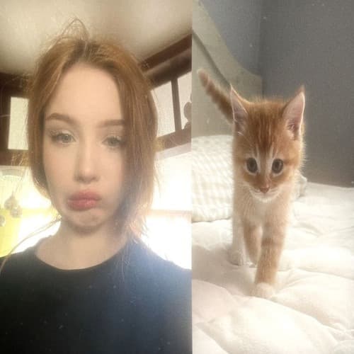 следуй за мечтой